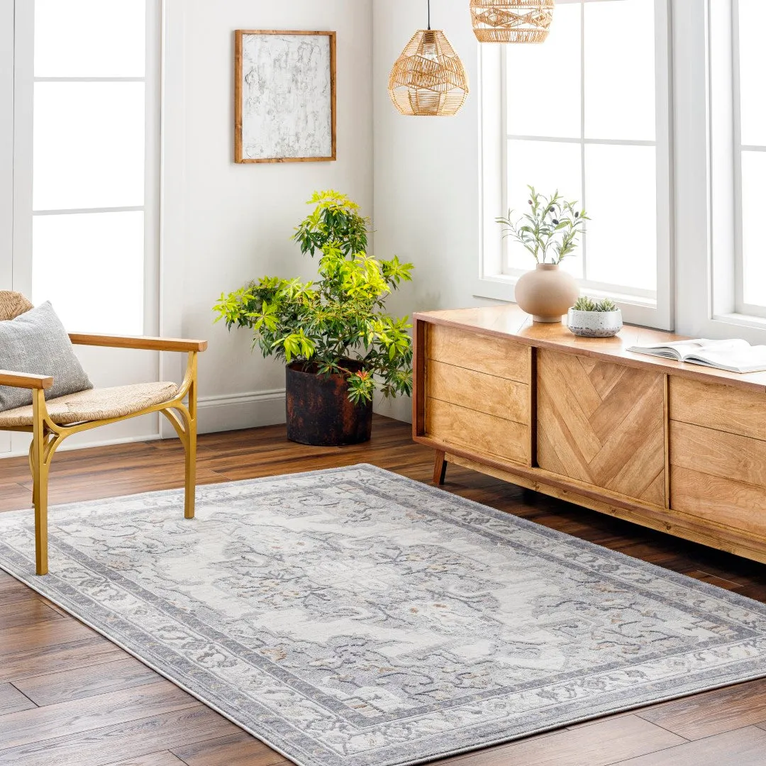 Alamo Collection Area Rug - Stylish Machine Woven Design for High Traffic Spaces, Easy Care & Comfort