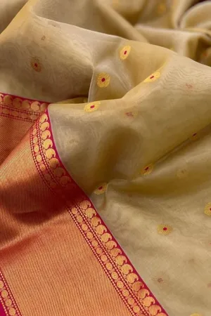 Elegant Pastel Chanderi Handloom Silk Saree: Pure Luxury
