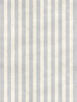Gray Stripe Printed Photography Backdrop